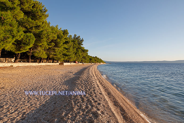 beach Kamena in Tučepi