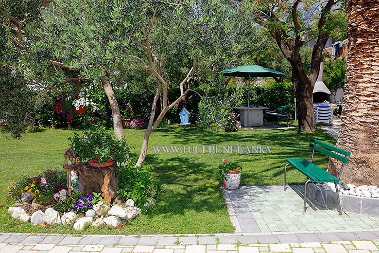 Villa Anka, Tučepi, garden flowers