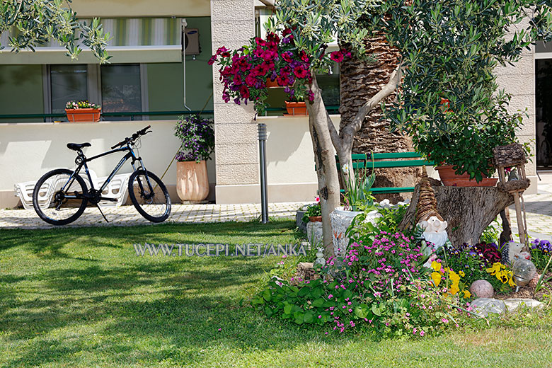 Villa Anka, Tučepi, garden flowers