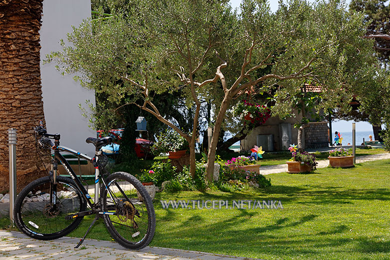 Villa Anka, Tučepi, bike in garden