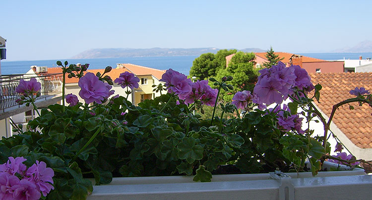 Pension Bili Dvor, Tuepi - balcony with flowers and sea view