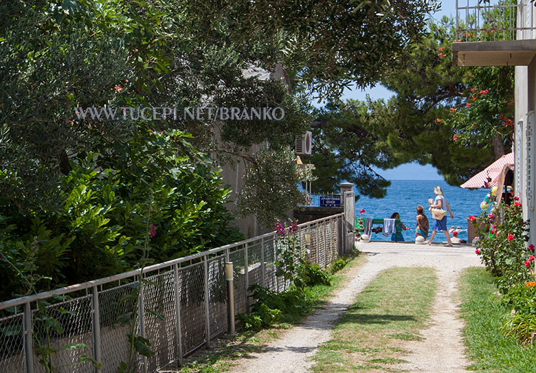 View from Branko's garden - Tučepi beach