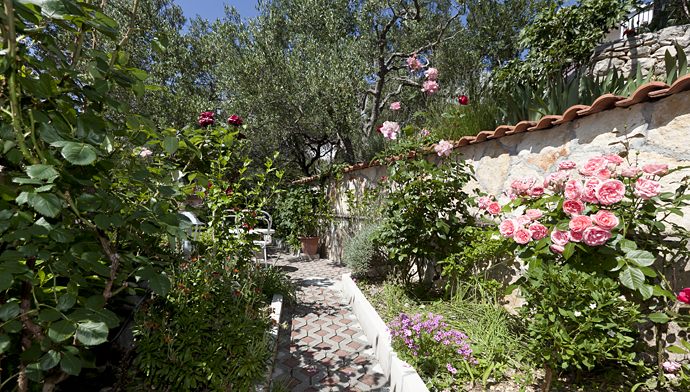 nice garden full of flowers