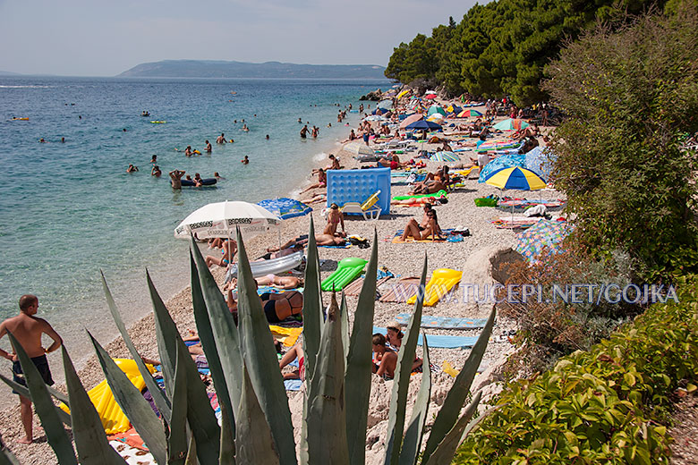 beach at hotel Jadran in Tučepi