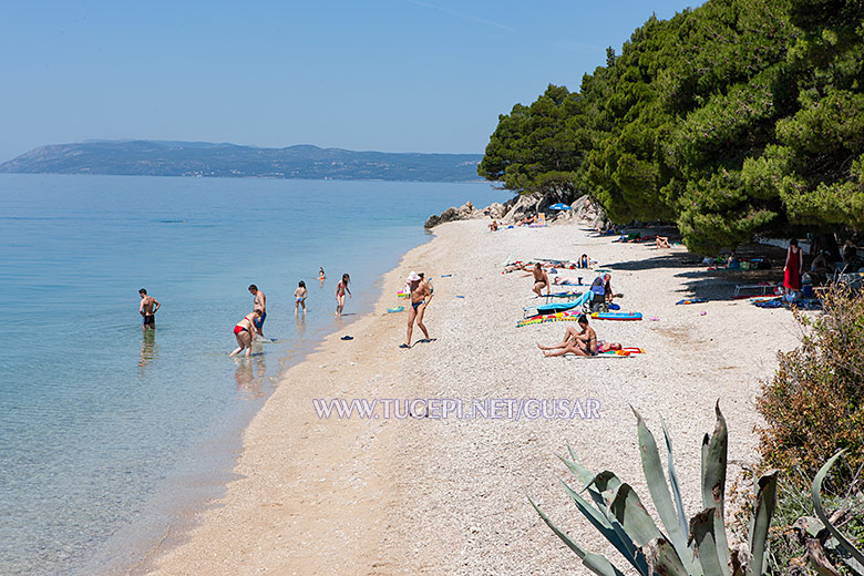 beach at hotel Jadran