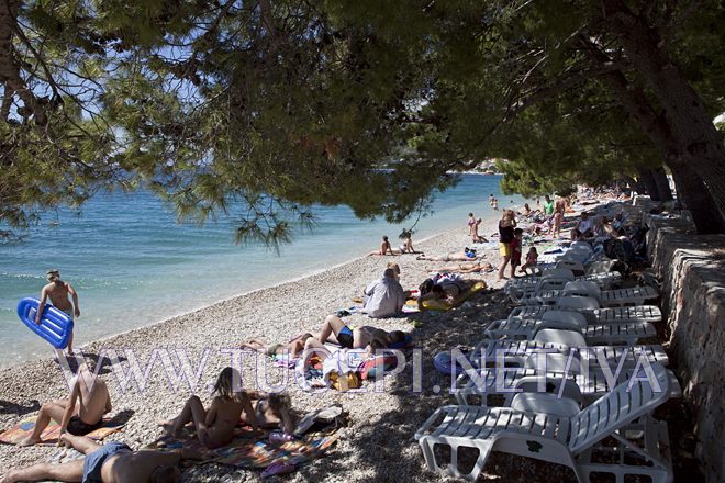 natural beaches hidden in deep pinetree shadows