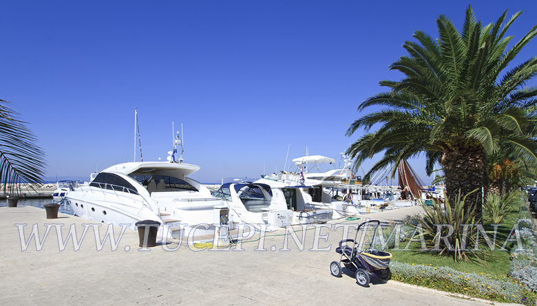 Yachts in Tucepi's marine