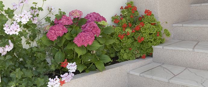 flowers - apartments Mendeš, Tučepi