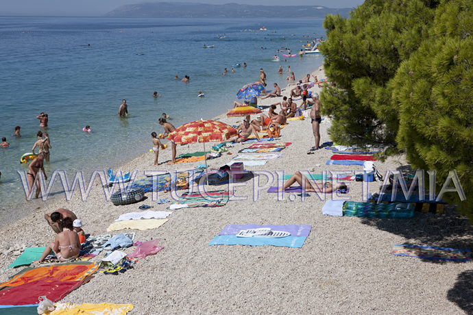 beach at hotel alga