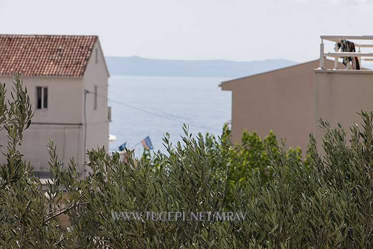 sea view from balcony