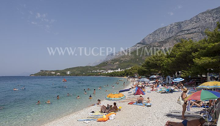 Tu�epi beach on Kraj