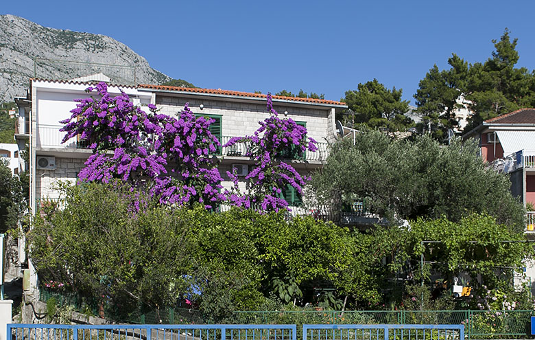 apartments Mravičić, Tučepi - house 1