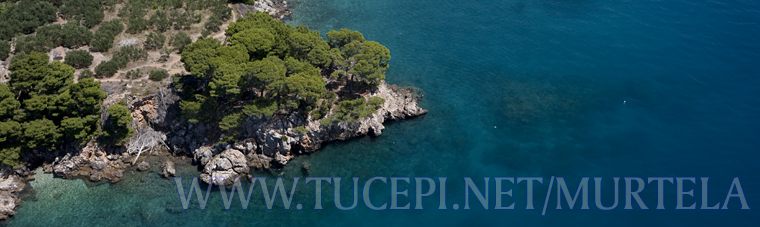 beach aerial view