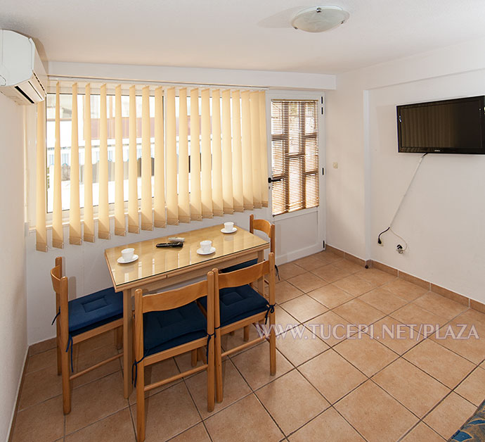 dining table and TV