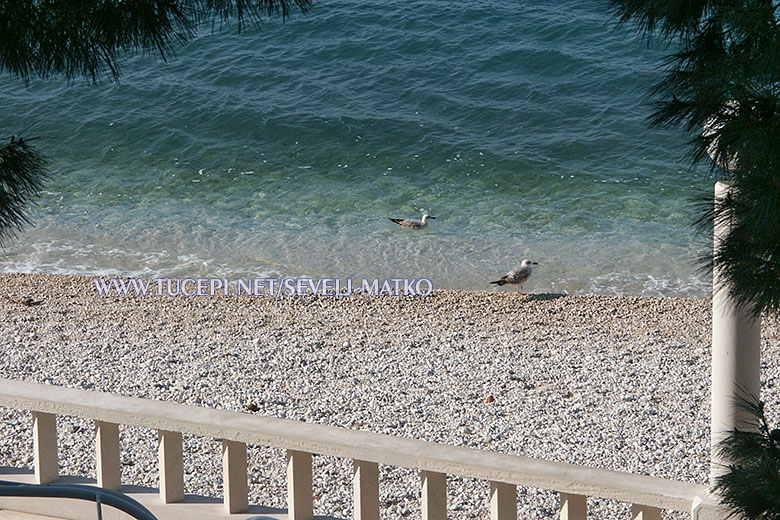 balcony with sea view - aparttments Matko Ševelj, Tučepi