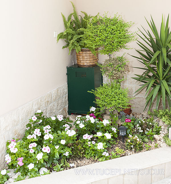 flowers on the house entrance