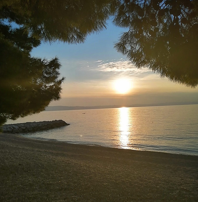 beach in sunset