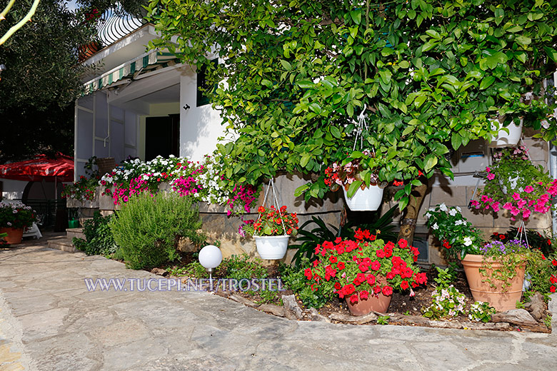 Apartments Trostel, Tučepi - flowers all around