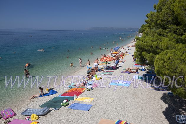 Beach at hotel Jadran