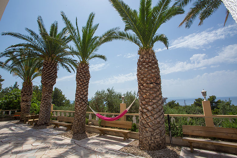 Vila Palma, Tučepi - palmtrees