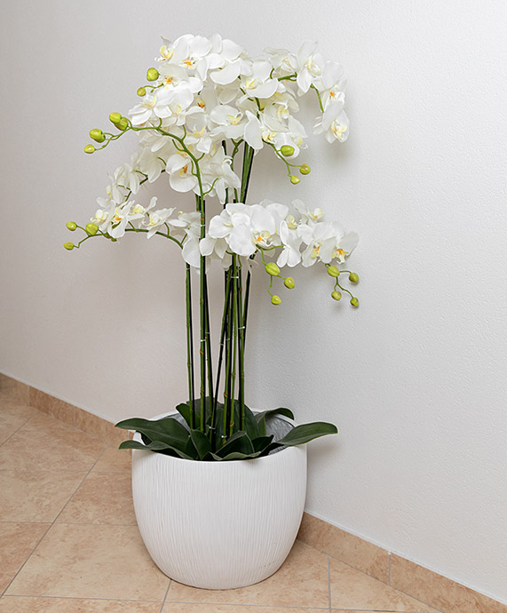 flowers vase in hall