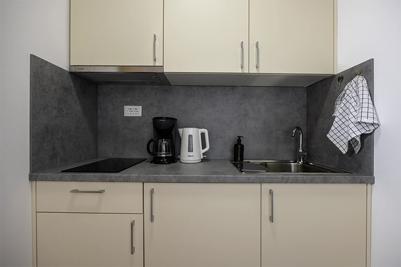 Apartments Ženja, Tučepi - kitchen