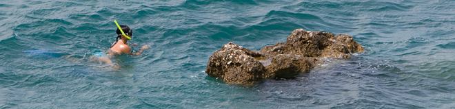 beach, diving