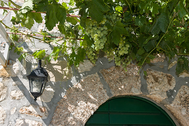 house Ševelji - apartments Ženja